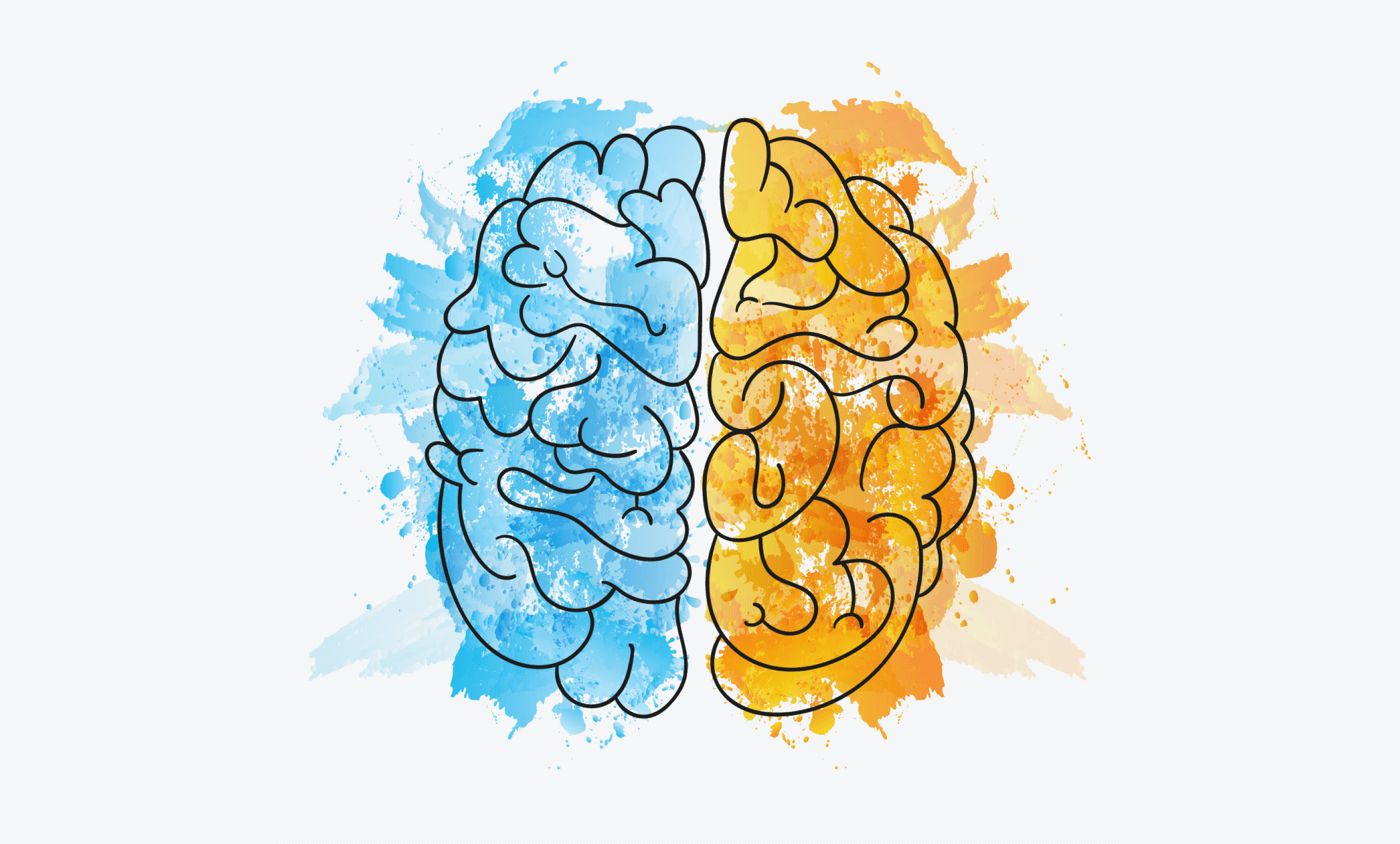 Развитие двух полушарий. Полушария мозга. Два полушария мозга. Левое и правое полушарие мозга. Рисование левое полушарие.